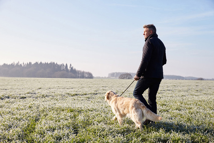 473423242 Mature Man Walking Dog In Frosty Landscape
