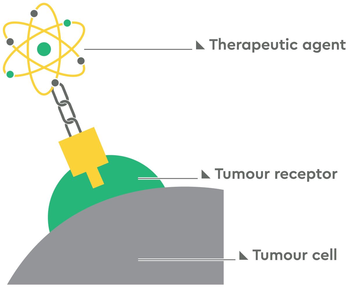 tumour cell targeting