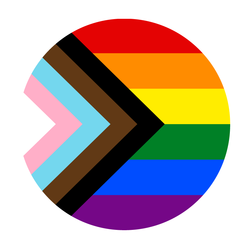 LGBTQIA+ Progressive Flag